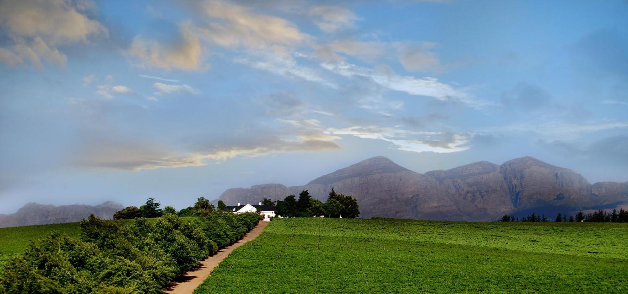 Bakenhof Winelands Lodge Paarl Exterior foto